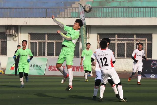 谈球吧应用下载